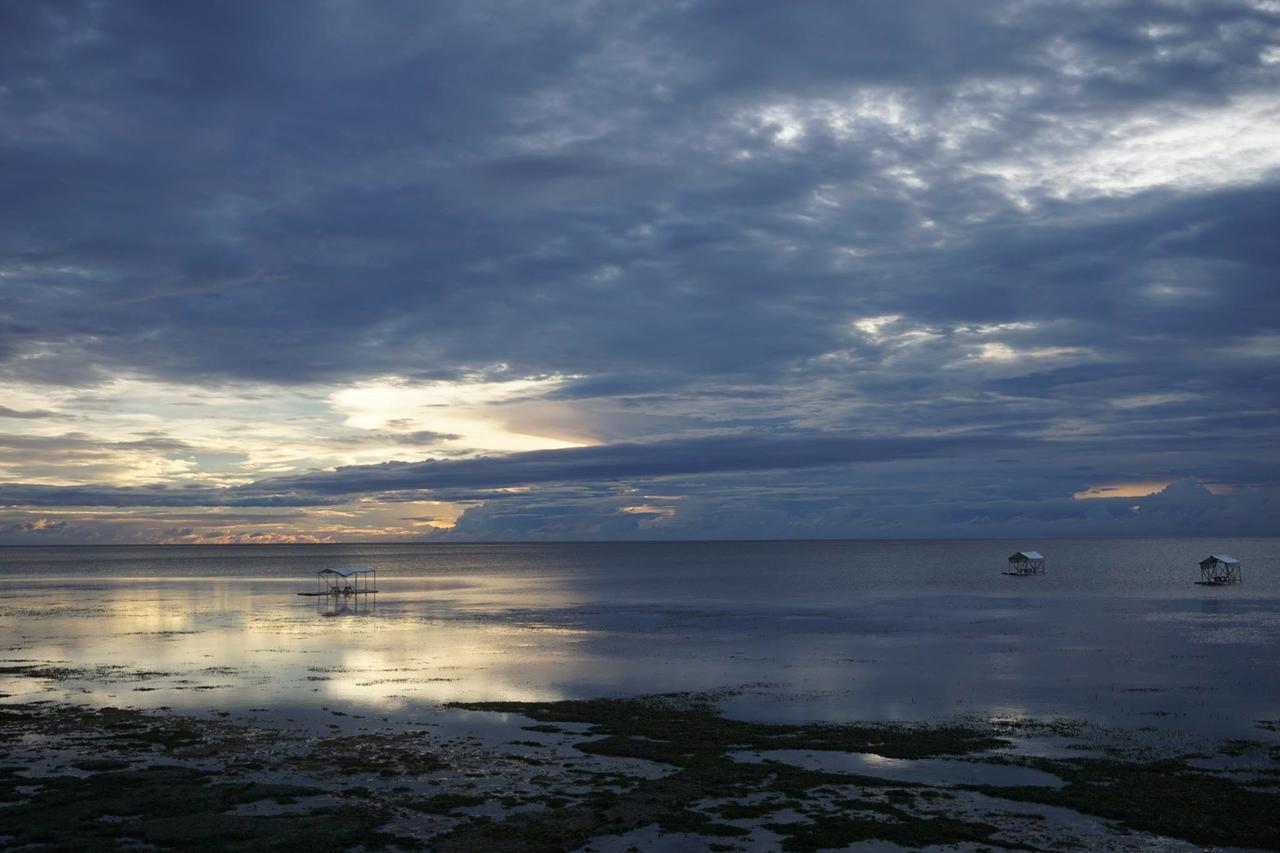 ホテル バードランド ビーチ クラブ【ペット可】 Bolinao エクステリア 写真